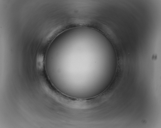 X0000111650024200907171556