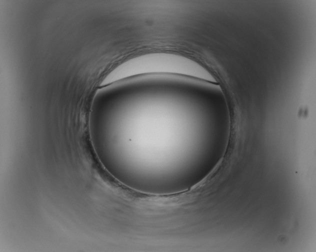 X0000111650025200907171556
