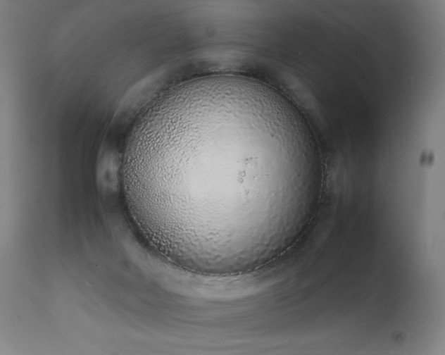 X0000111650026200907171556