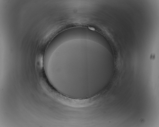 X0000111650027200907171556
