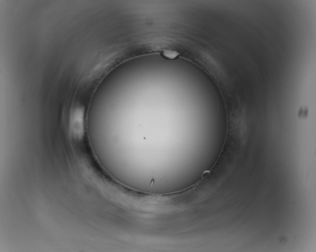 X0000111650028200907171556