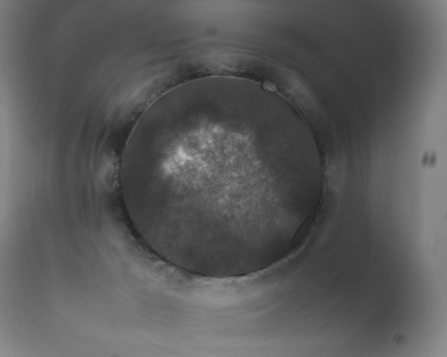 X0000111650029200907171556