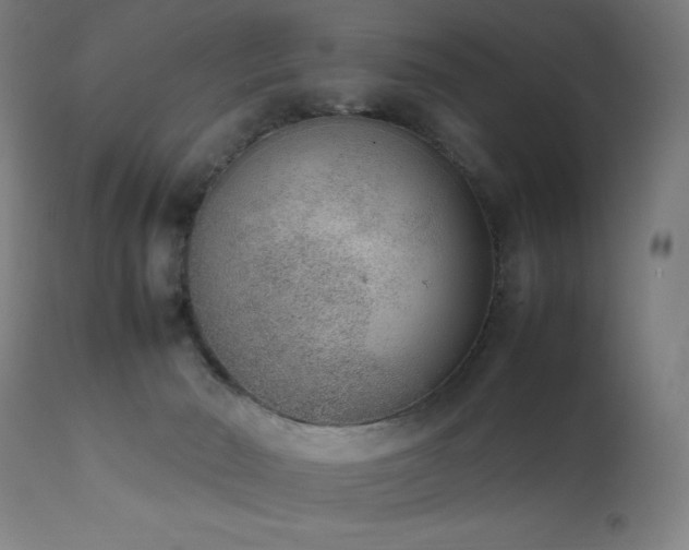 X0000111650030200907171556