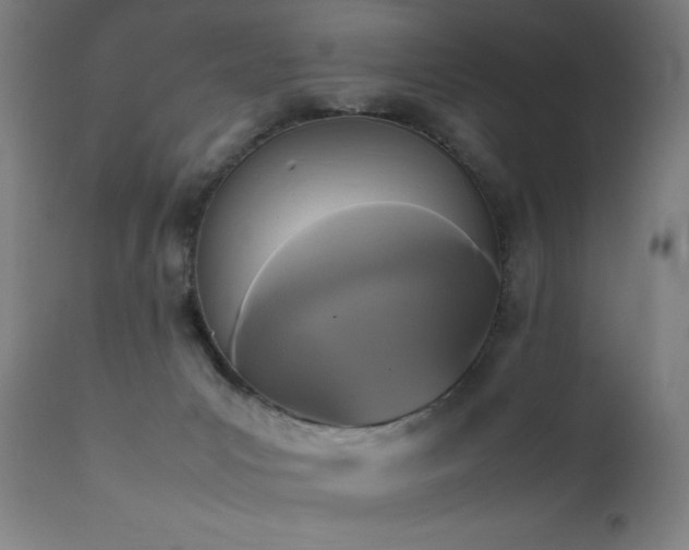 X0000111650031200907171556