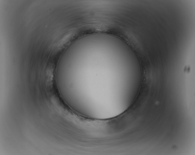X0000111650032200907171556