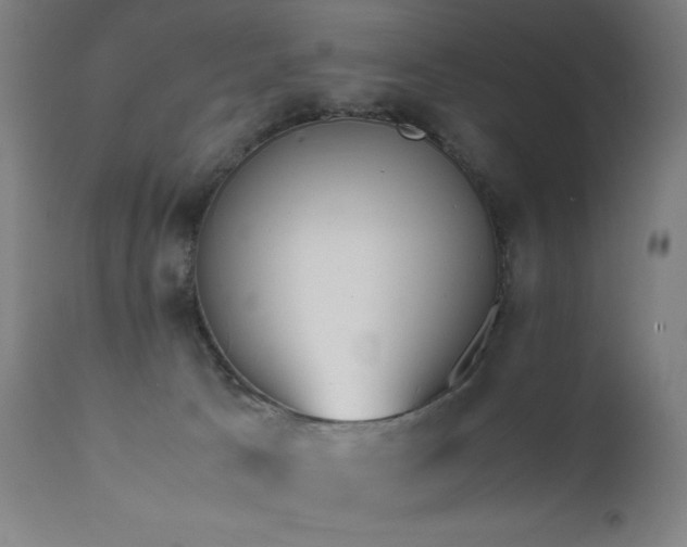 X0000111650033200907171556