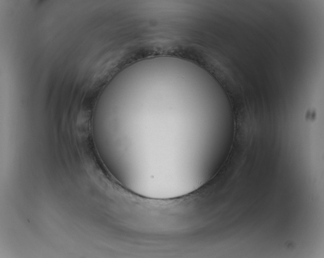 X0000111650034200907171556