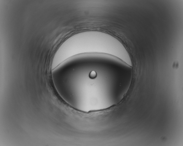 X0000111650035200907171556