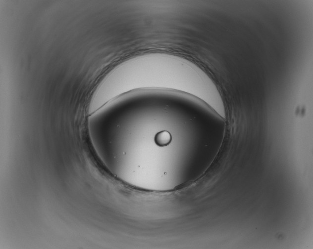 X0000111650036200907171556
