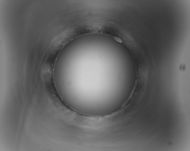 X0000111650037200907171556