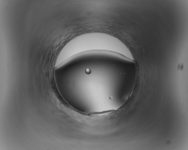 X0000111650039200907171556