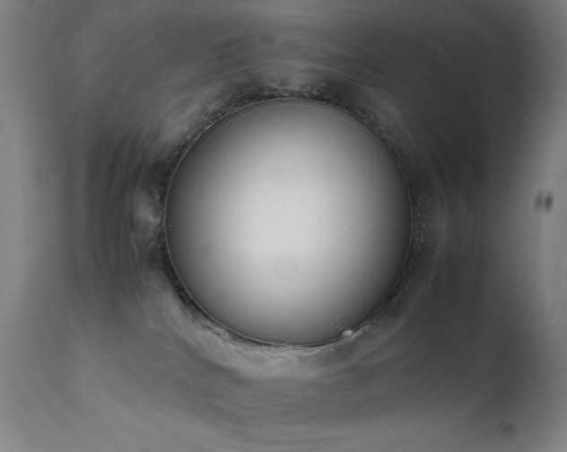 X0000111650040200907171556