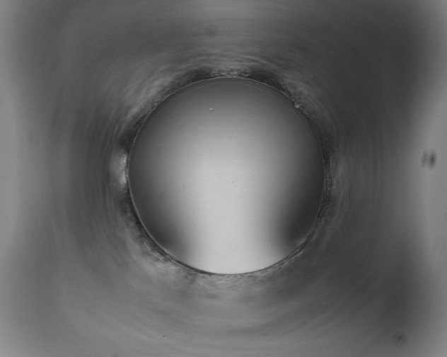X0000111650041200907171556