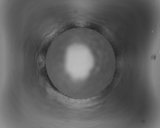 X0000111650043200907171556