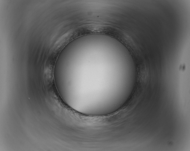 X0000111650044200907171556