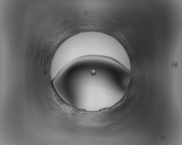 X0000111650045200907171556