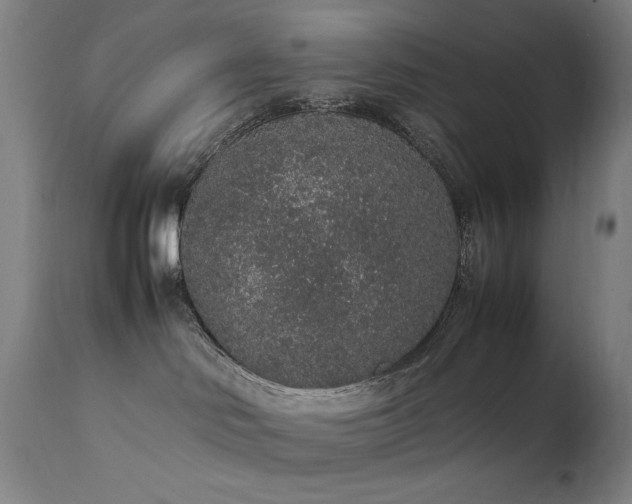 X0000111650046200907171556