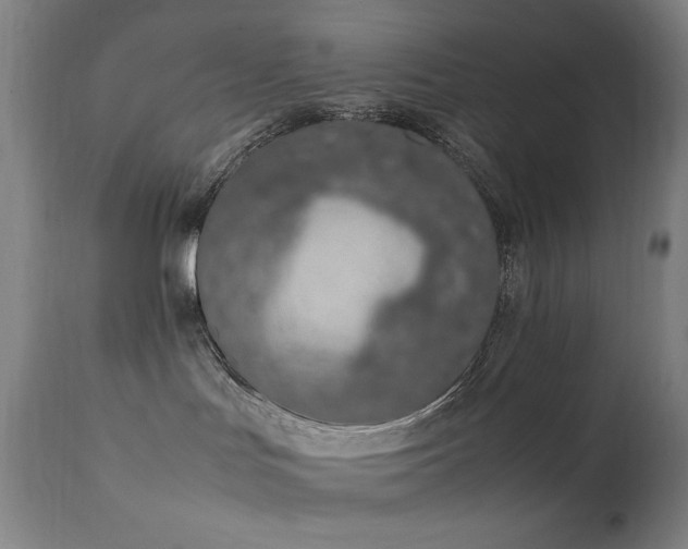 X0000111650047200907171556