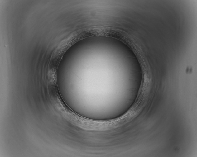 X0000111650048200907171555