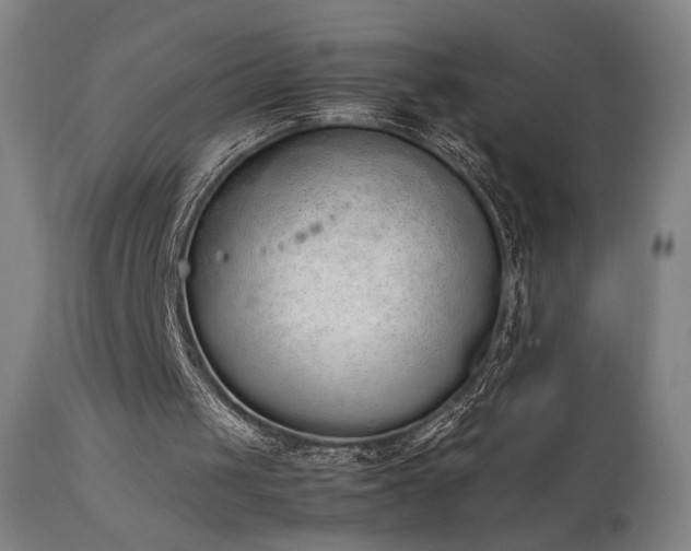 X0000111650049200907171555