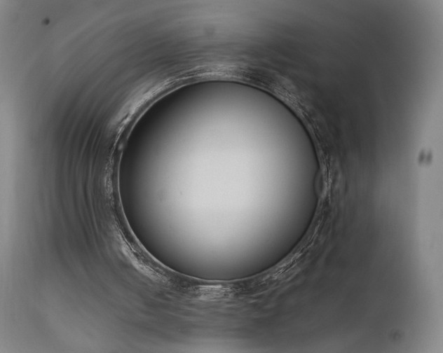 X0000111650050200907171555