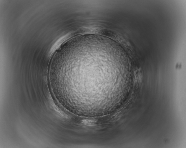 X0000111650051200907171555