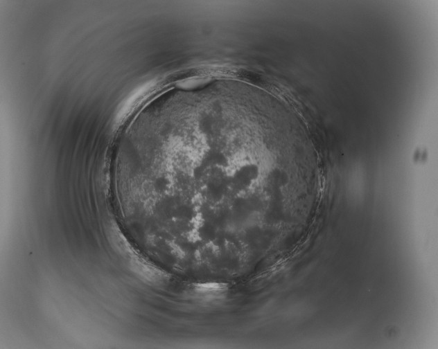X0000111650053200907171555