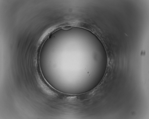 X0000111650054200907171555