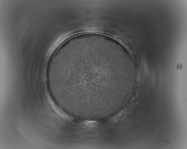 X0000111650055200907171555