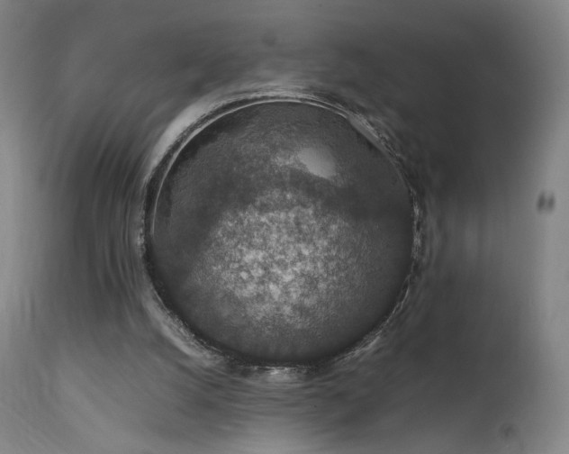 X0000111650056200907171555