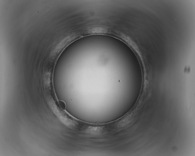 X0000111650057200907171555