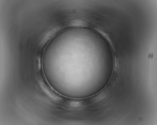 X0000111650061200907171555