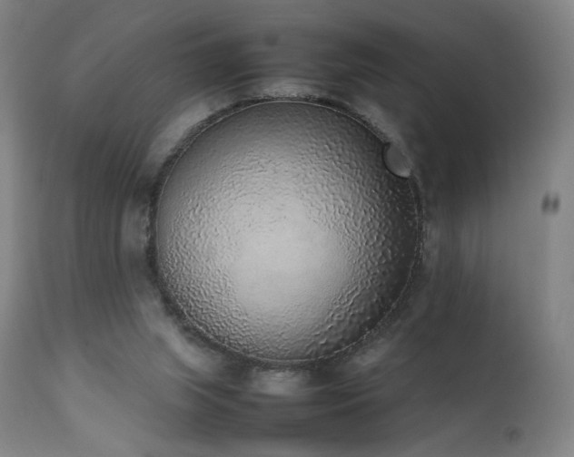 X0000111650063200907171555