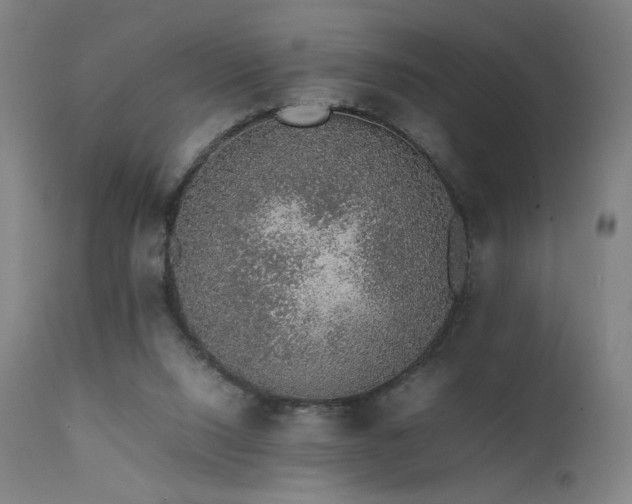 X0000111650064200907171555