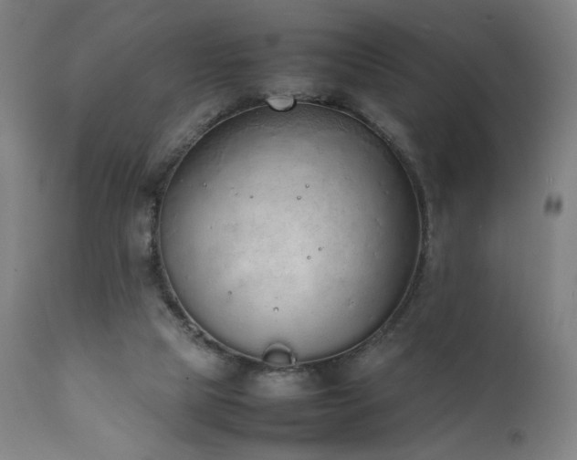 X0000111650065200907171555