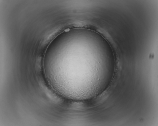 X0000111650066200907171555