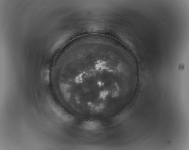 X0000111650067200907171555