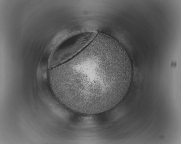 X0000111650068200907171555