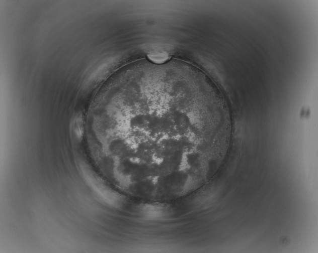 X0000111650069200907171555