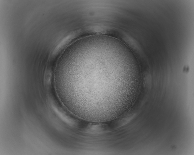 X0000111650072200907171555
