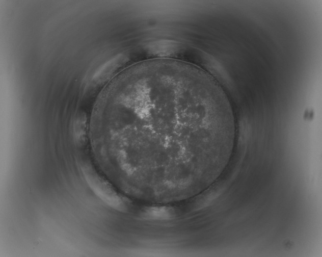 X0000111650073200907171555