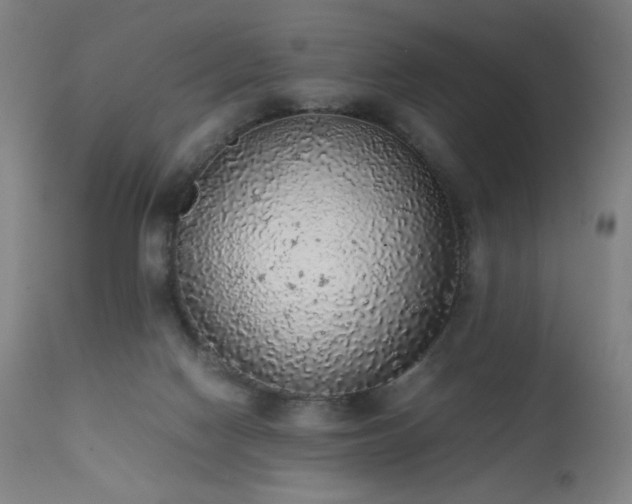 X0000111650074200907171555