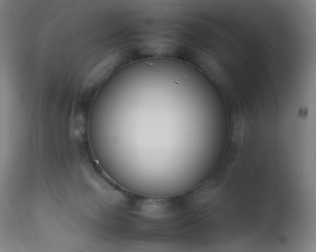 X0000111650077200907171555