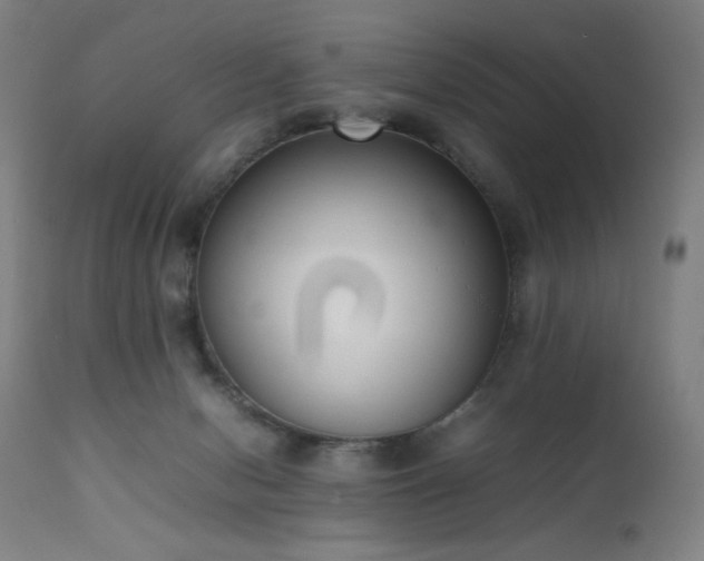X0000111650078200907171555