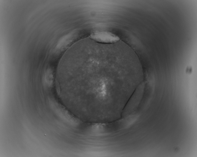X0000111650080200907171555