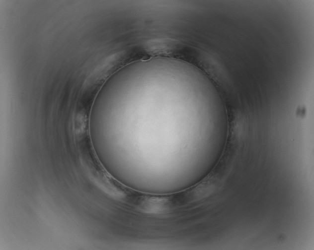 X0000111650081200907171555
