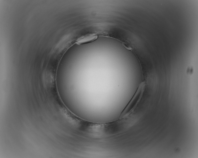 X0000111650084200907171555