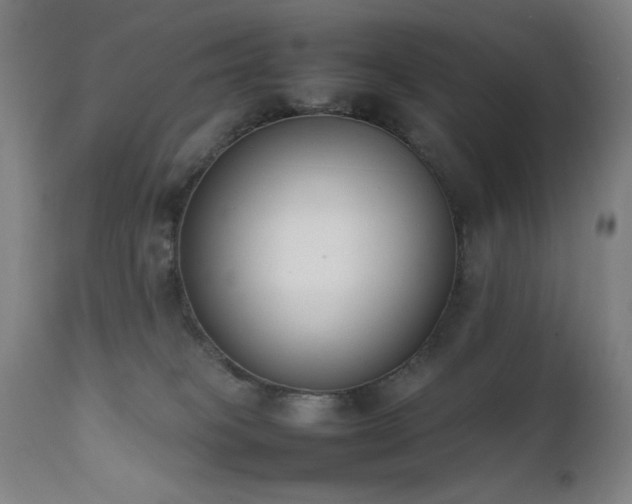 X0000111650085200907171555