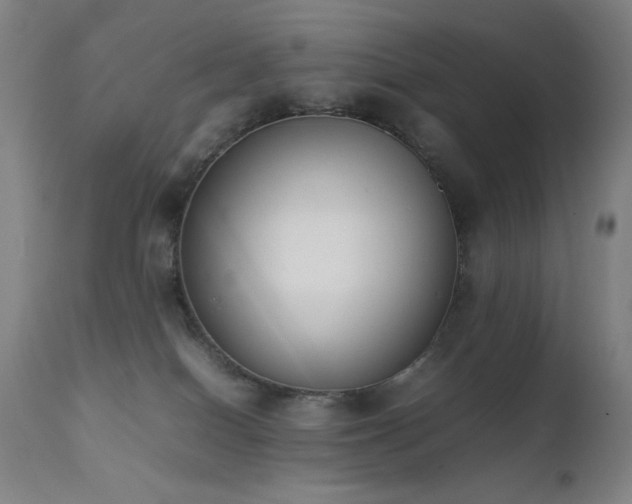 X0000111650086200907171555