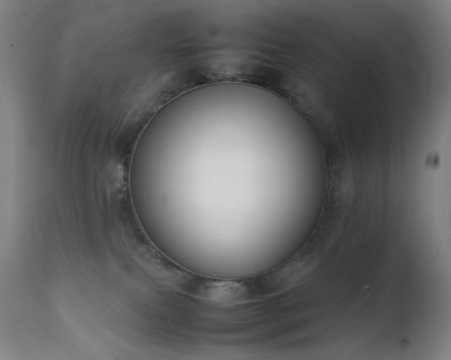 X0000111650087200907171555